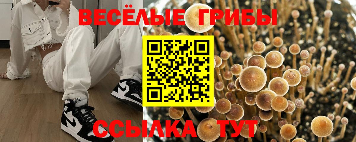 Галлюциногенные грибы прущие грибы Вологда