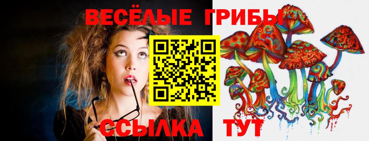 Вологда  Псилоцибиновые грибы мухоморы  Вход с VPN  Псилоцибиновые грибы ЛСД 