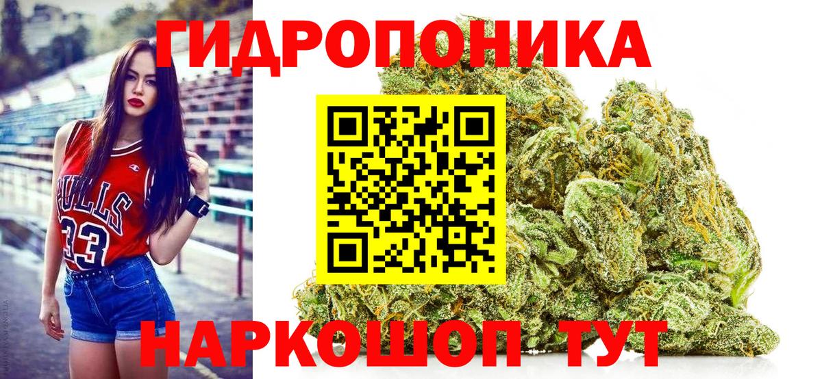 Марихуана конопля  Канабис VHQ  Вход с VPN  Бошки марихуана планчик  Вологда 